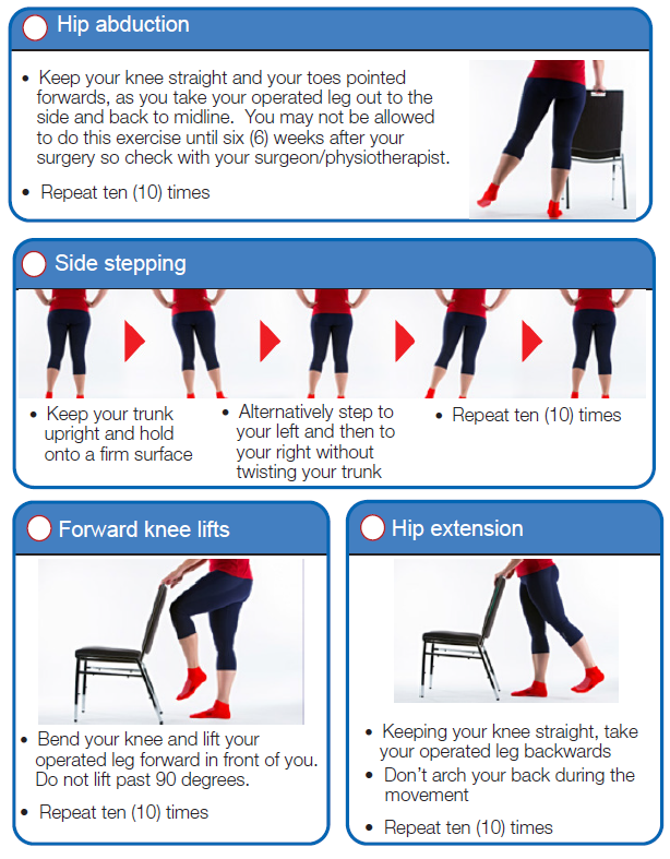 Orthopaedics- Hip Replacement