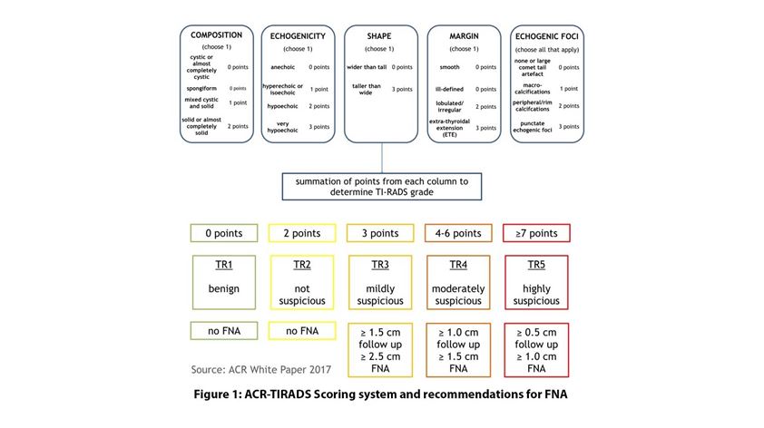 Figure 1: ACR-TIRADS Scoring system and recommendations for FNA