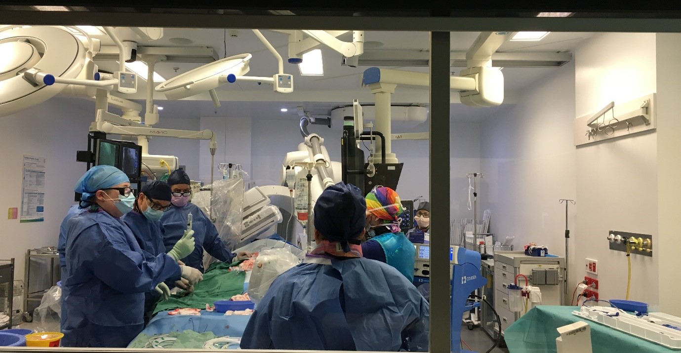 Interventional cardiac procedure at Northside