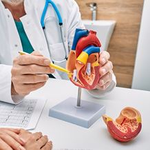 Cardiac Services