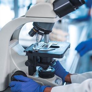 Heart Biopsy