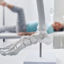 Ankle Orthopaedics