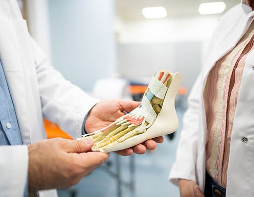Trigger Toe Surgery Hammer Toe Surgery I Orthopaedics I St Vincent’s Private Hospitals