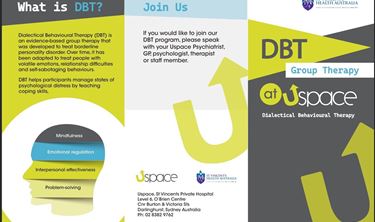 Dbt Program Day Program: Dialectical Behavioural Therapy | St Vincent's Private ...