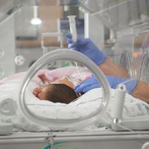A new born baby is treated in a humidy crib